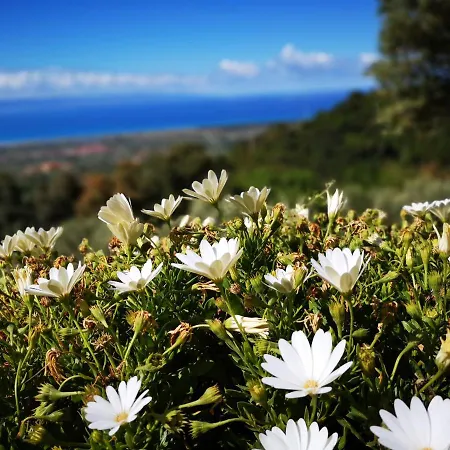 Villa Small Exclusive Retreat Lamezia Terme