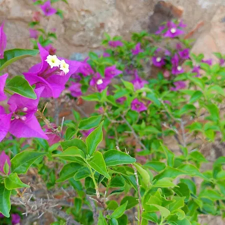 Small Exclusive Retreat