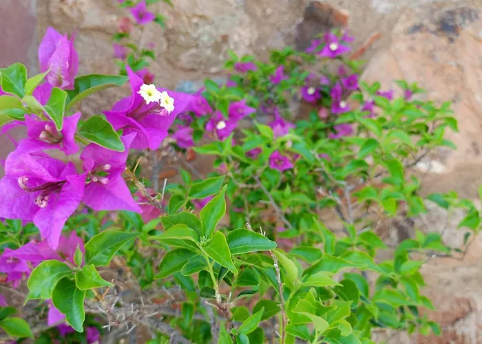 Small Exclusive Retreat